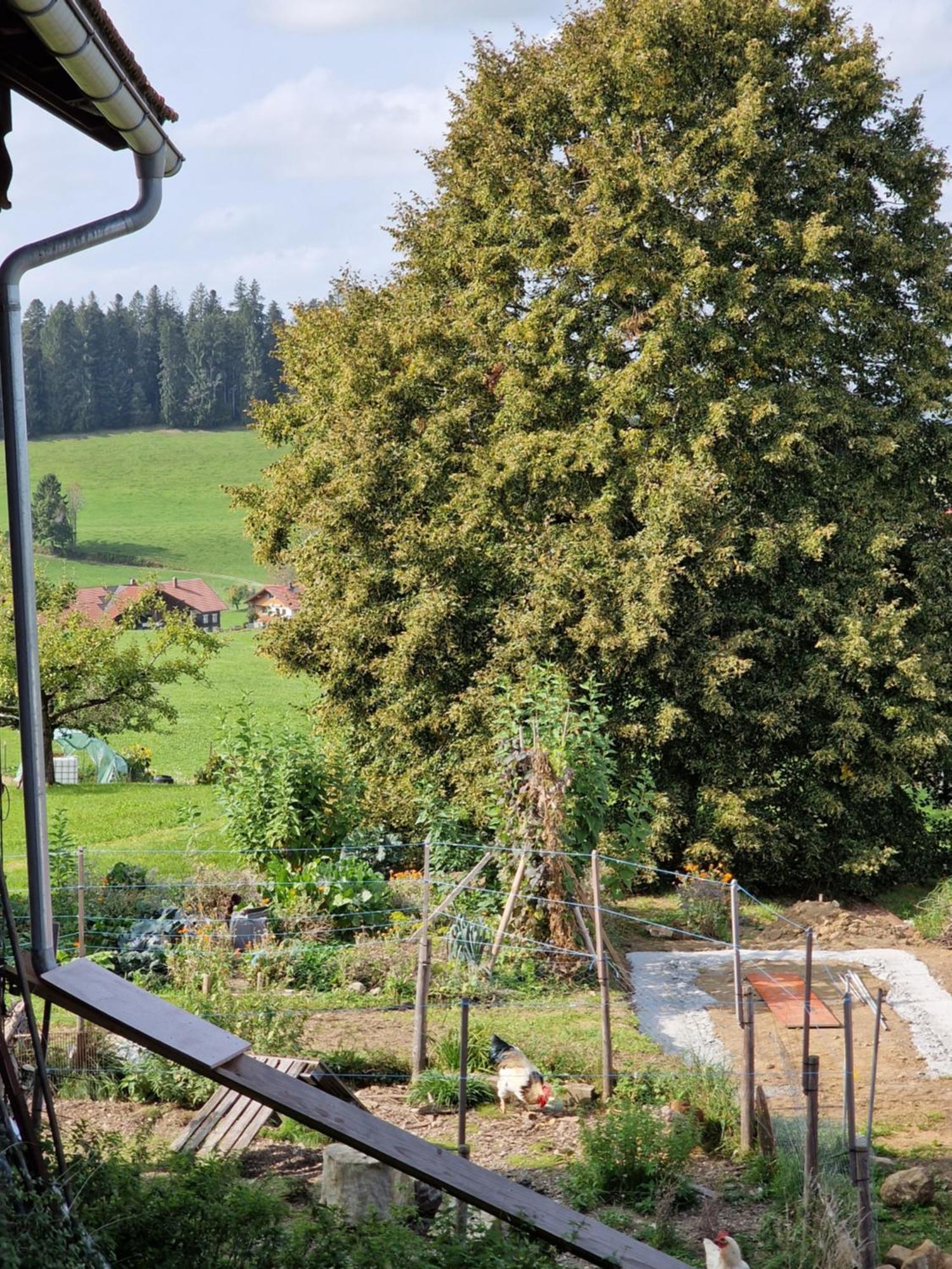 Apartament Der Perfekte Ausgangspunkt Weiler-Simmerberg Zewnętrze zdjęcie